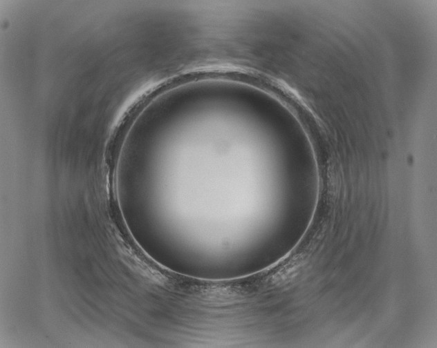 X0000065231408200602171347