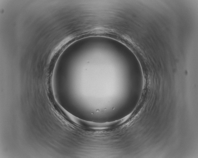 X0000065231410200602171347
