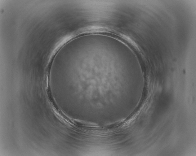 X0000065231413200602171347