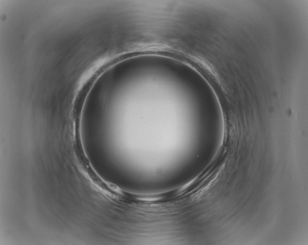 X0000065231414200602171347