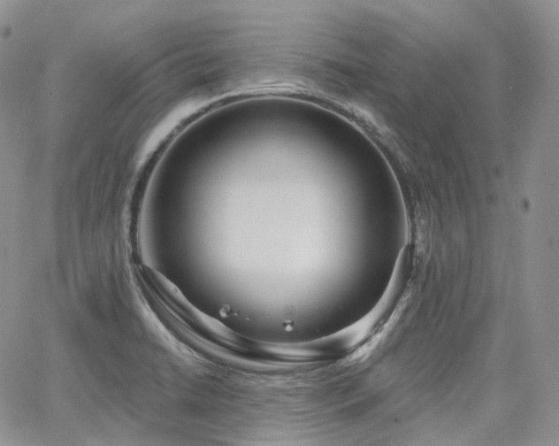 X0000065231422200602171347