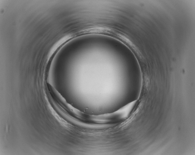 X0000065231426200602171347