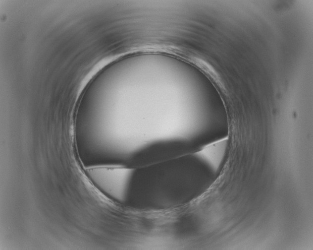 X0000065231428200602171347