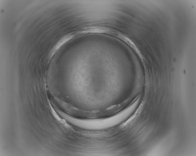 X0000065231433200602171347