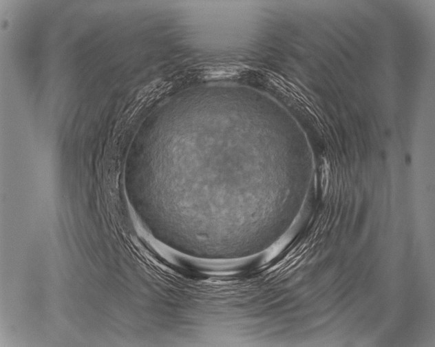 X0000065231441200602171346