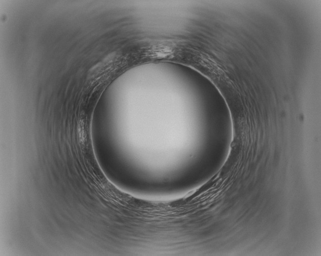 X0000065231442200602171346