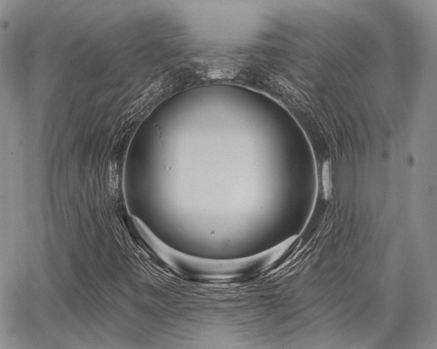 X0000065231443200602171346