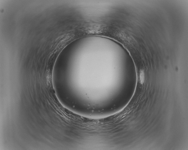 X0000065231444200602171346