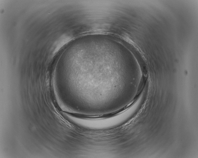 X0000065231450200602171346