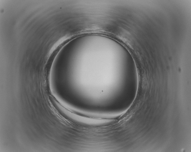 X0000065231458200602171346