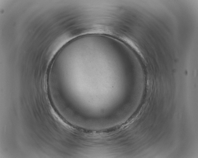 X0000065231468200602171346