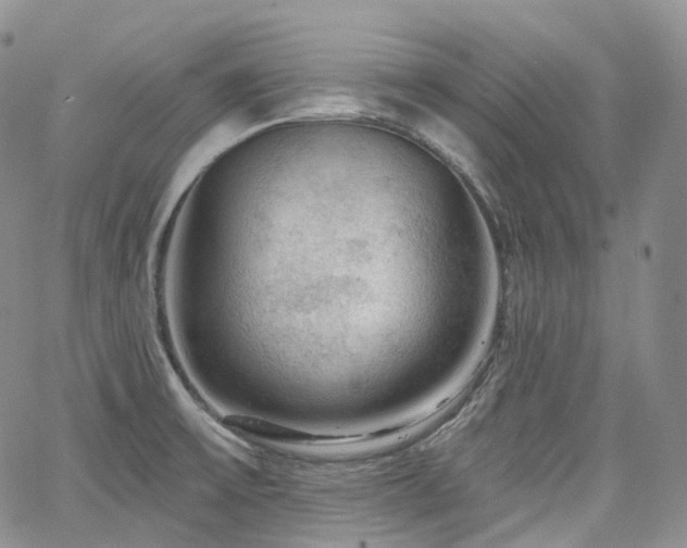X0000065231475200602171346