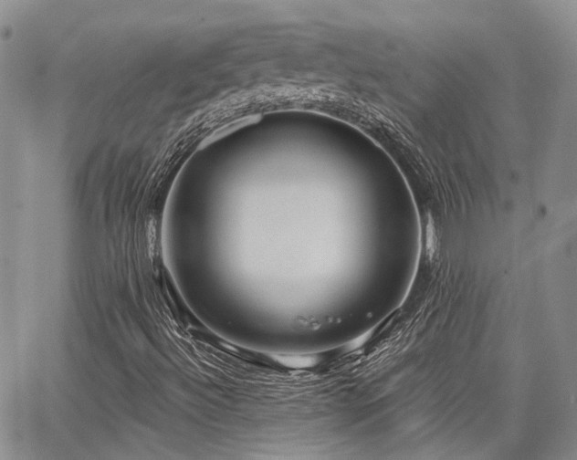 X0000065231492200602171345