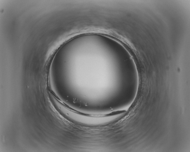 X0000065231504200602171345