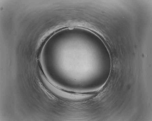 X0000065231507200602171345