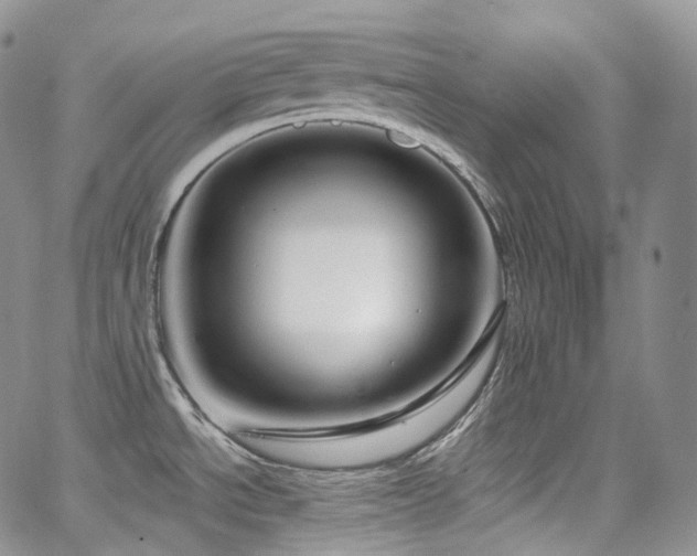 X0000065231534200602171346