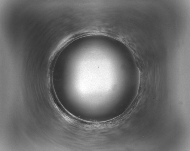 X0000065230005200602211158