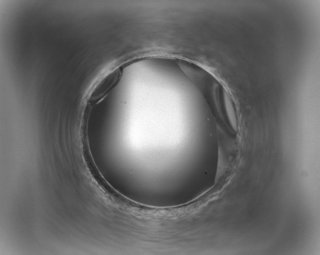 X0000065230007200602211158