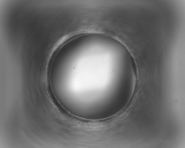 X0000065230008200602211158