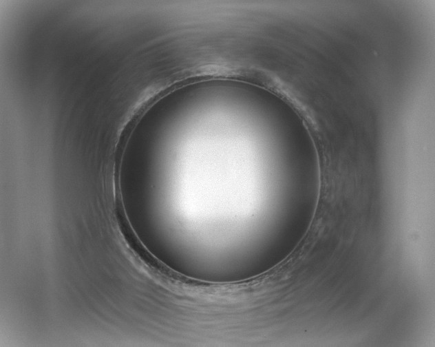 X0000065230011200602211158