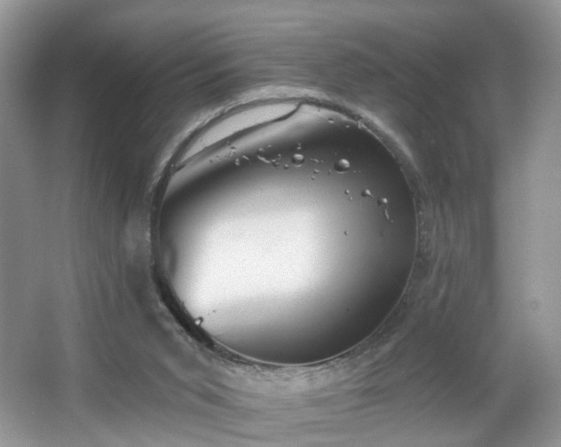 X0000065230015200602211158