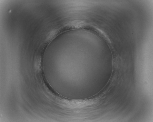 X0000065230018200602211157