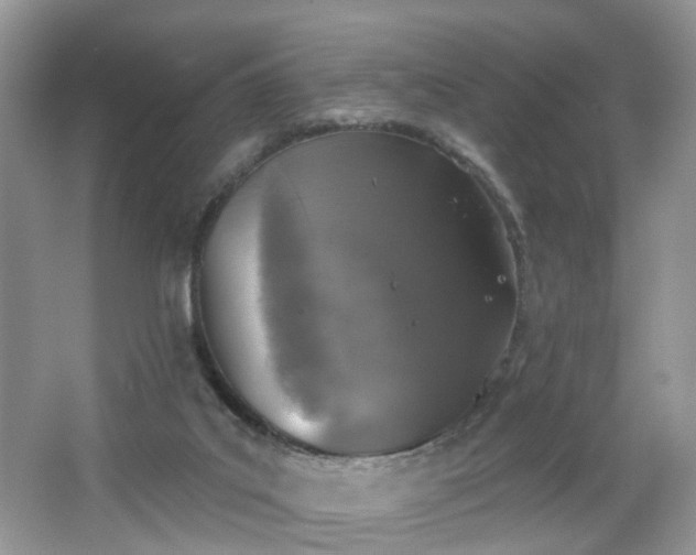 X0000065230019200602211157