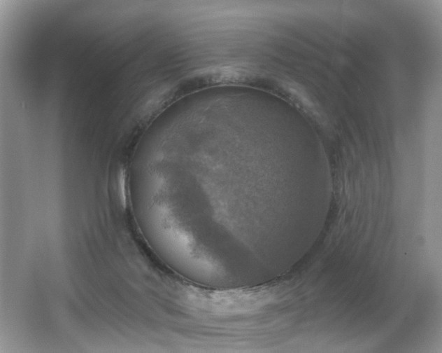 X0000065230022200602211157