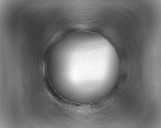 X0000065230024200602211157