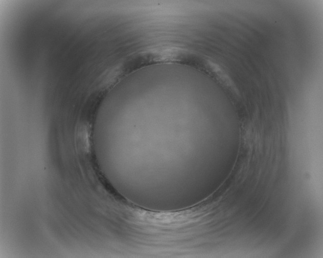X0000065230026200602211157