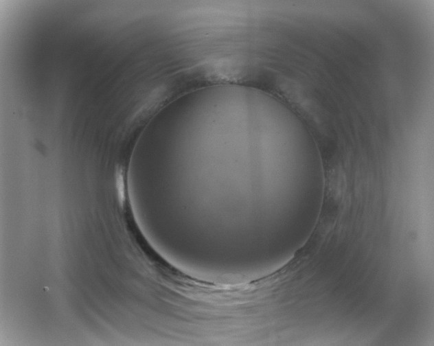 X0000065230027200602211157