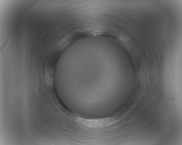 X0000065230030200602211157