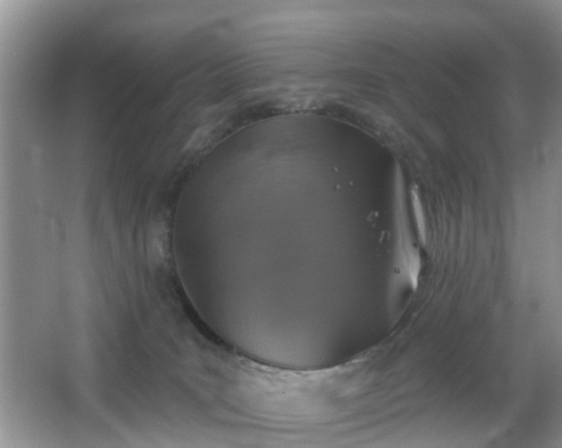 X0000065230035200602211157