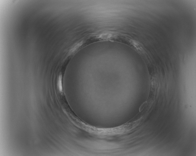 X0000065230046200602211157