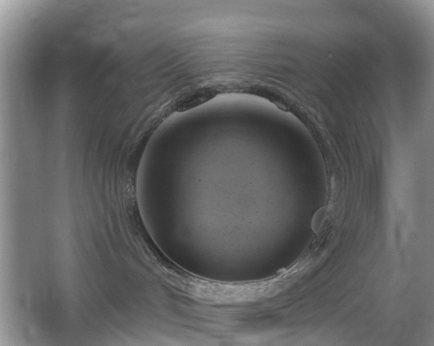 X0000065230048200602211157