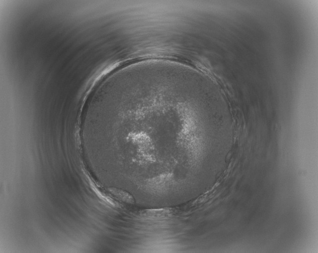 X0000065230050200602211156