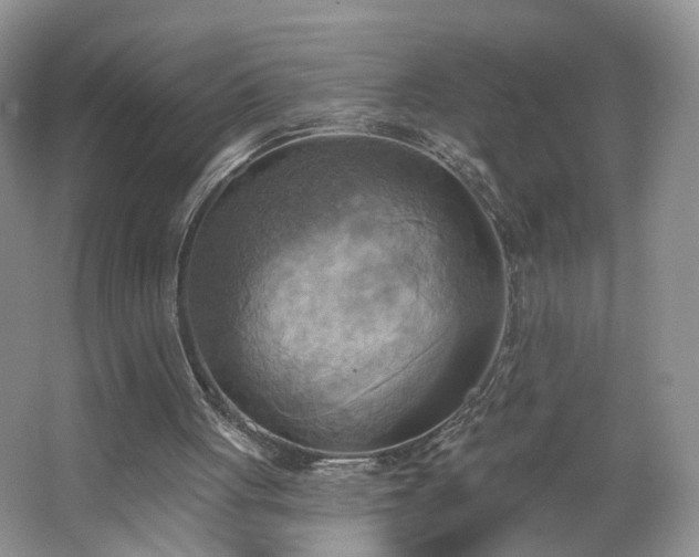 X0000065230051200602211156