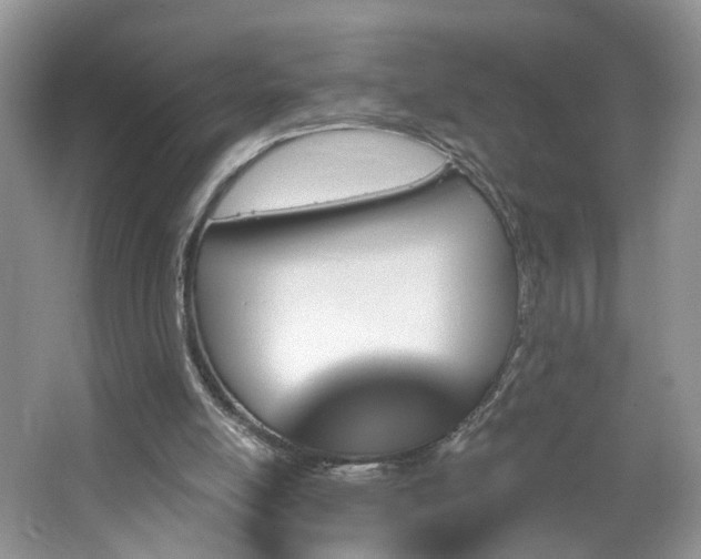 X0000065230054200602211156