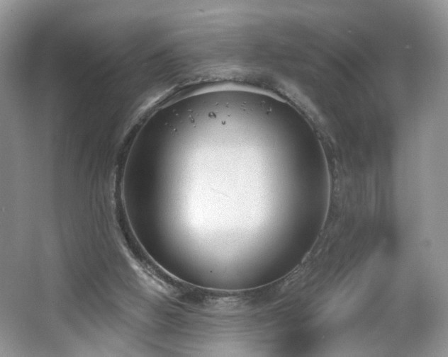 X0000065230058200602211156