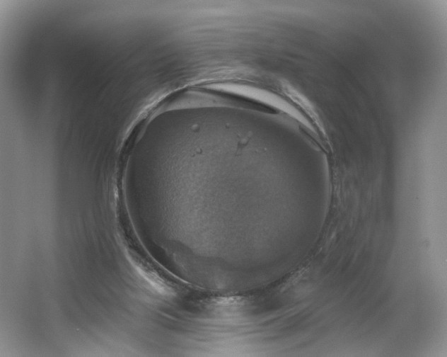 X0000065230059200602211156