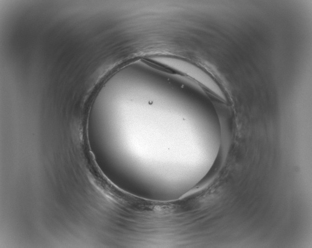 X0000065230060200602211156
