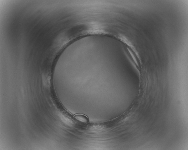 X0000065230063200602211156