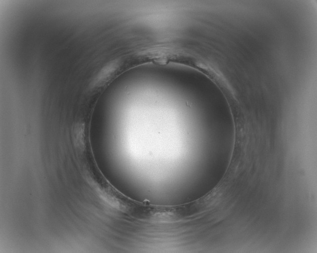 X0000065230066200602211156