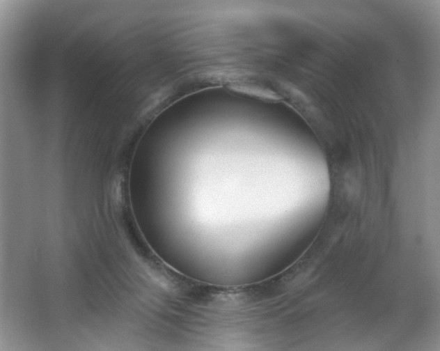 X0000065230071200602211156