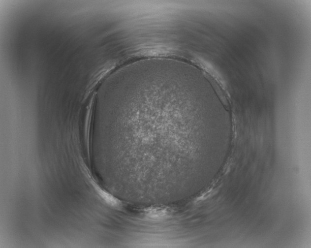 X0000065230105200602211156