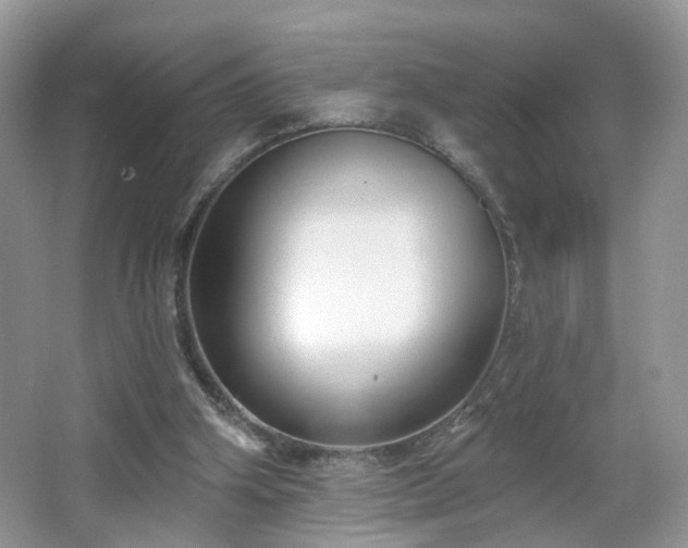 X0000065230106200602211156