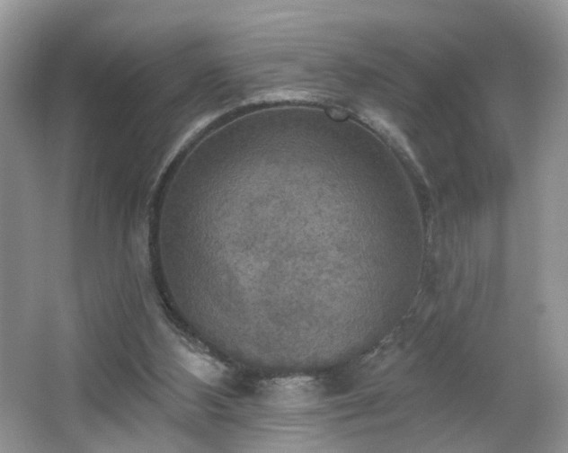 X0000065230108200602211156
