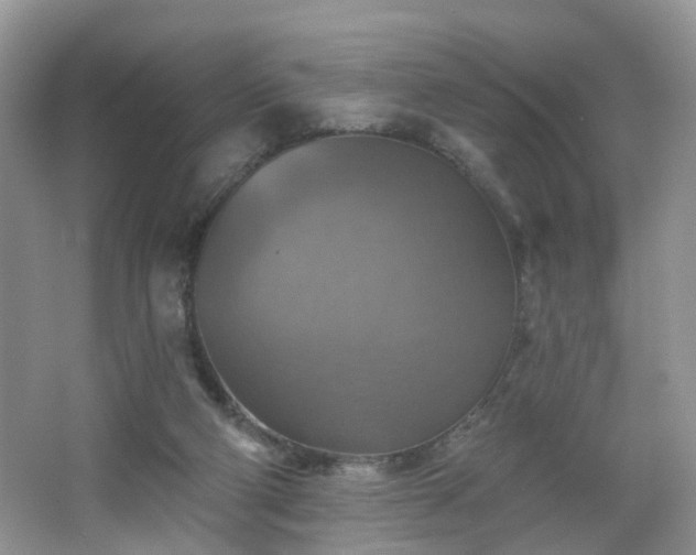 X0000065230114200602211156