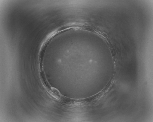 X0000065230149200602211154