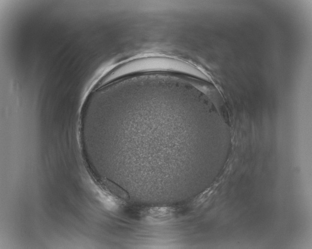 X0000065230152200602211155